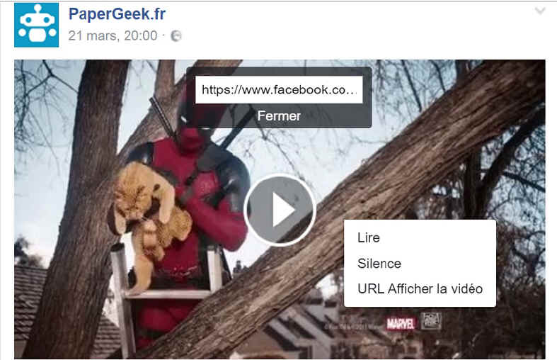 affichier url vidéo Facebook